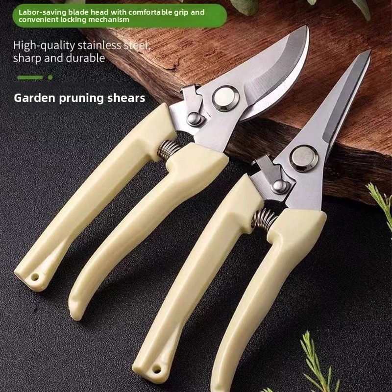 과일나무 손질용 전동 전정가위, 노동절약형 정원 가지치 - Gardening Tools Pink 리뷰 및 가격