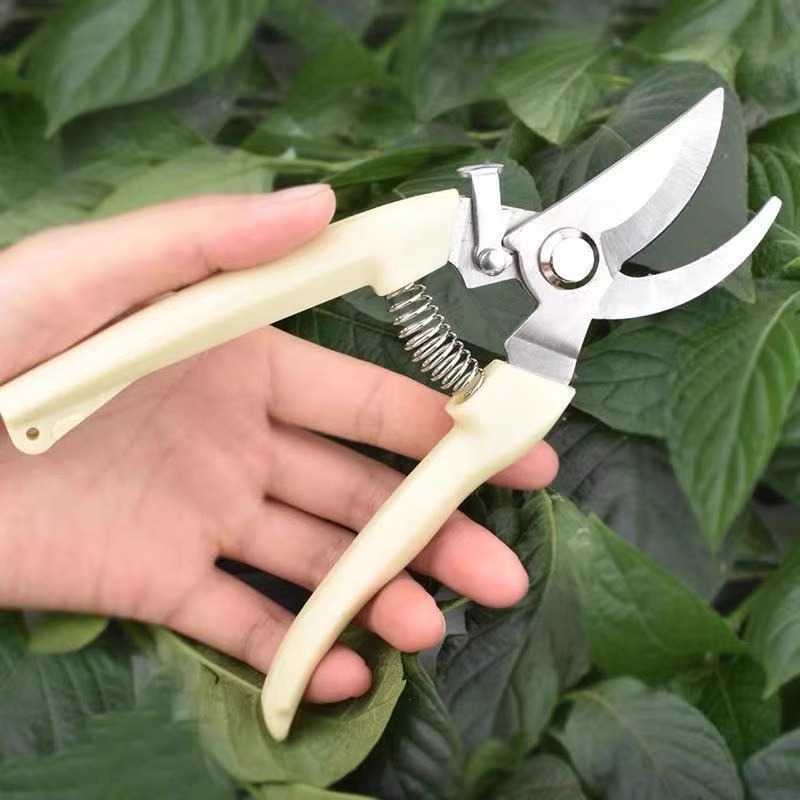과일나무 손질용 전동 전정가위, 노동절약형 정원 가지치 - Gardening Tools Pink 리뷰 및 가격