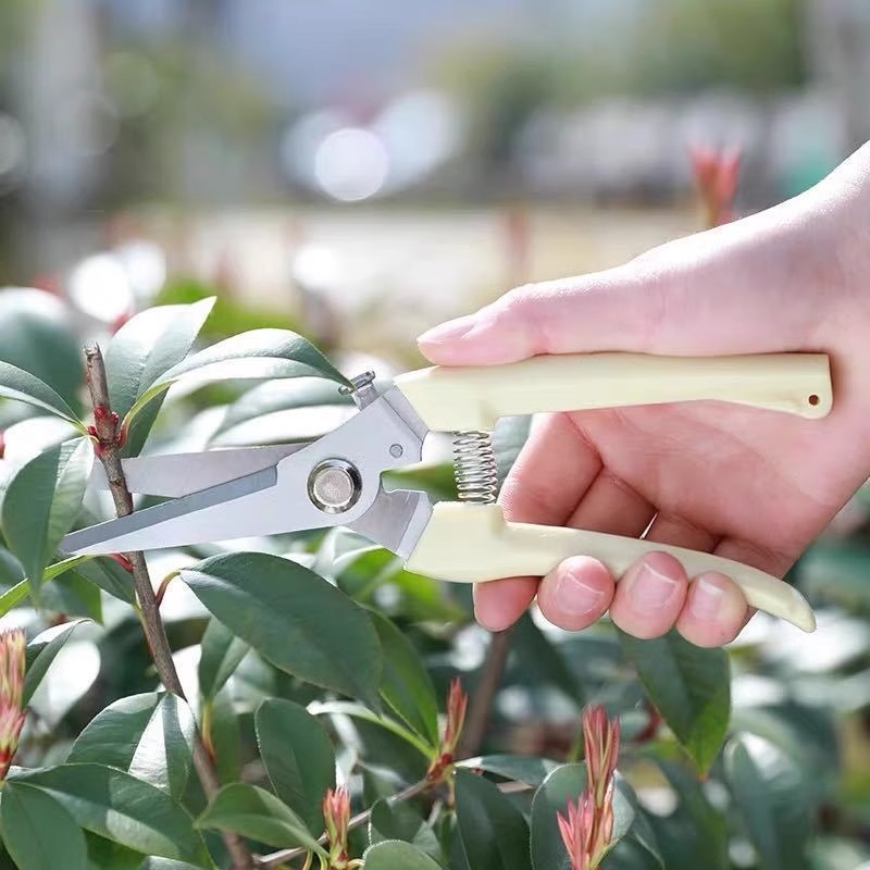 과일나무 손질용 전동 전정가위, 노동절약형 정원 가지치 - Gardening Tools Pink 리뷰 및 가격