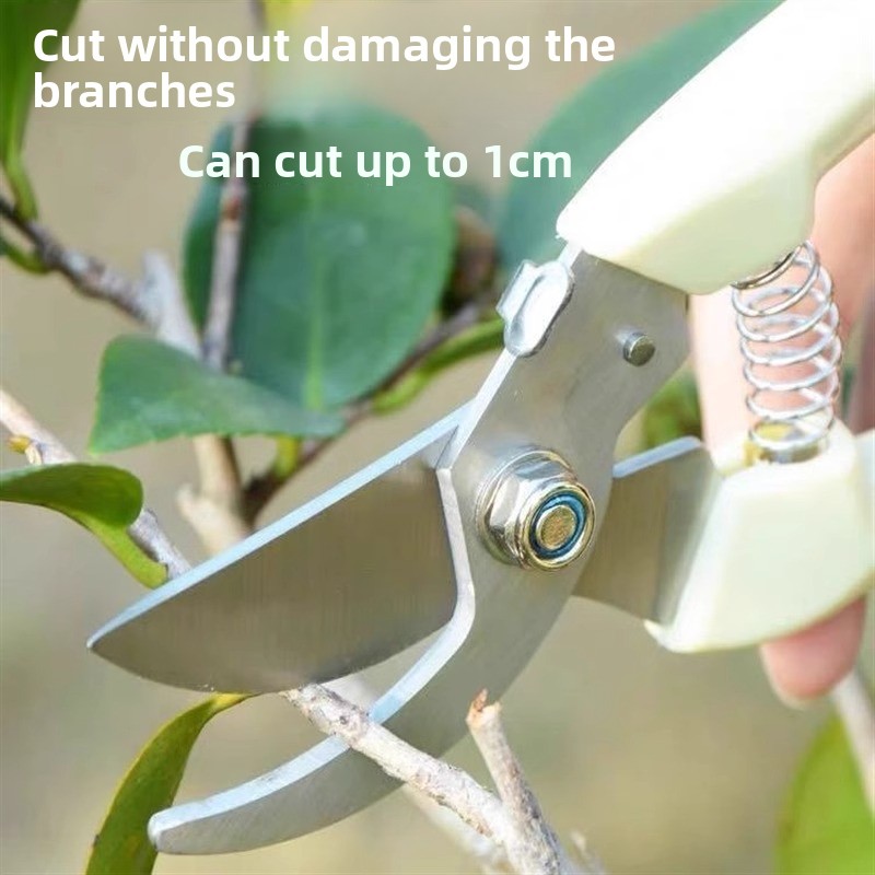 과일나무 손질용 전동 전정가위, 노동절약형 정원 가지치 - Gardening Tools Pink 리뷰 및 가격