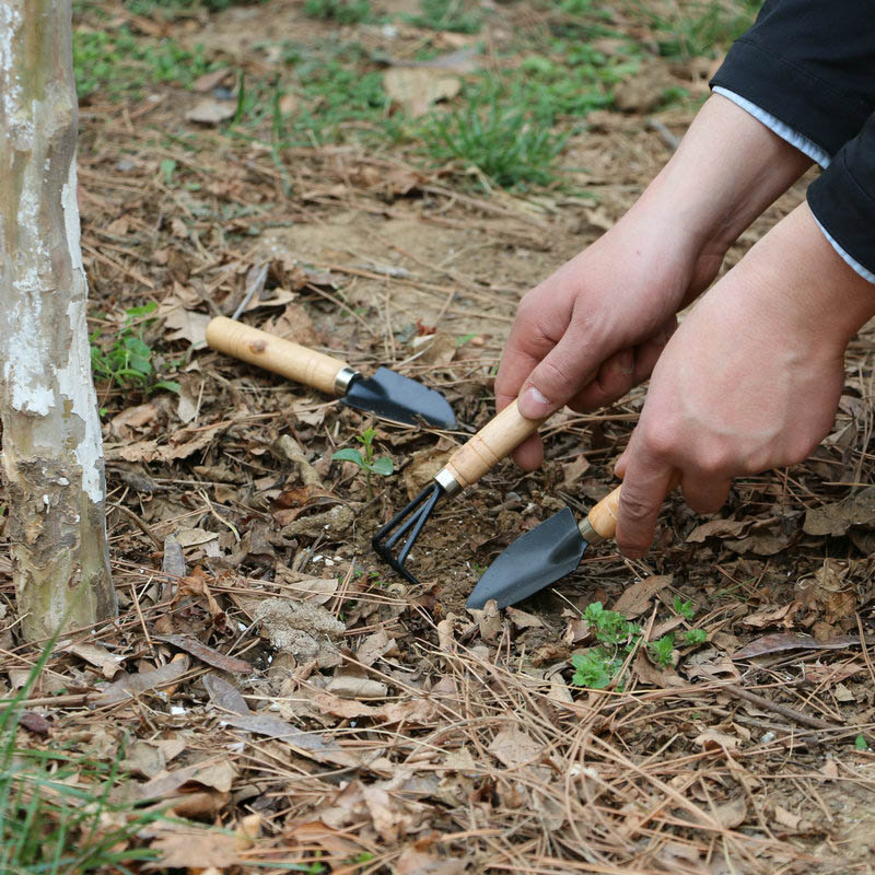 3 개/대 정원 식물을위한 미니 정원 도구 세트 꽃 냄 - Gardening Tools For Digging 리뷰 및 가격