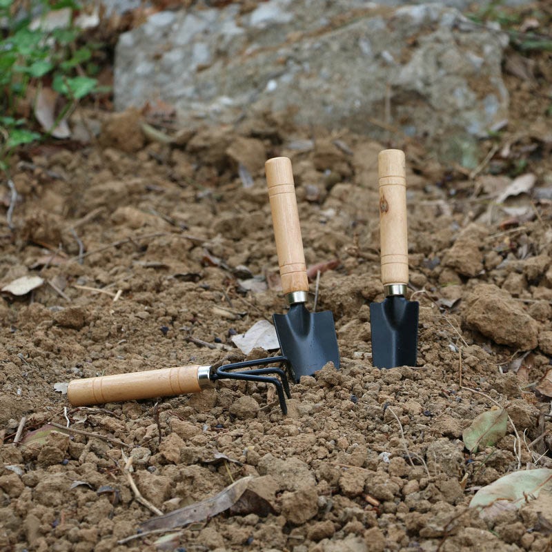 3 개/대 정원 식물을위한 미니 정원 도구 세트 꽃 냄 - Gardening Tools For Digging 리뷰 및 가격