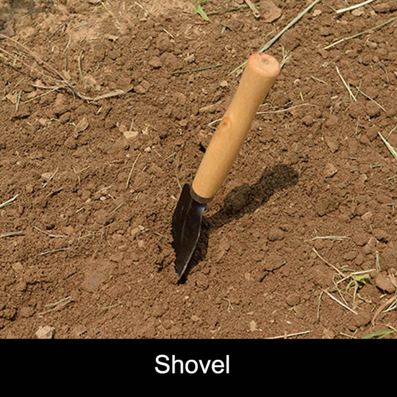 3 개/대 정원 식물을위한 미니 정원 도구 세트 꽃 냄 - Gardening Tools For Digging 리뷰 및 가격