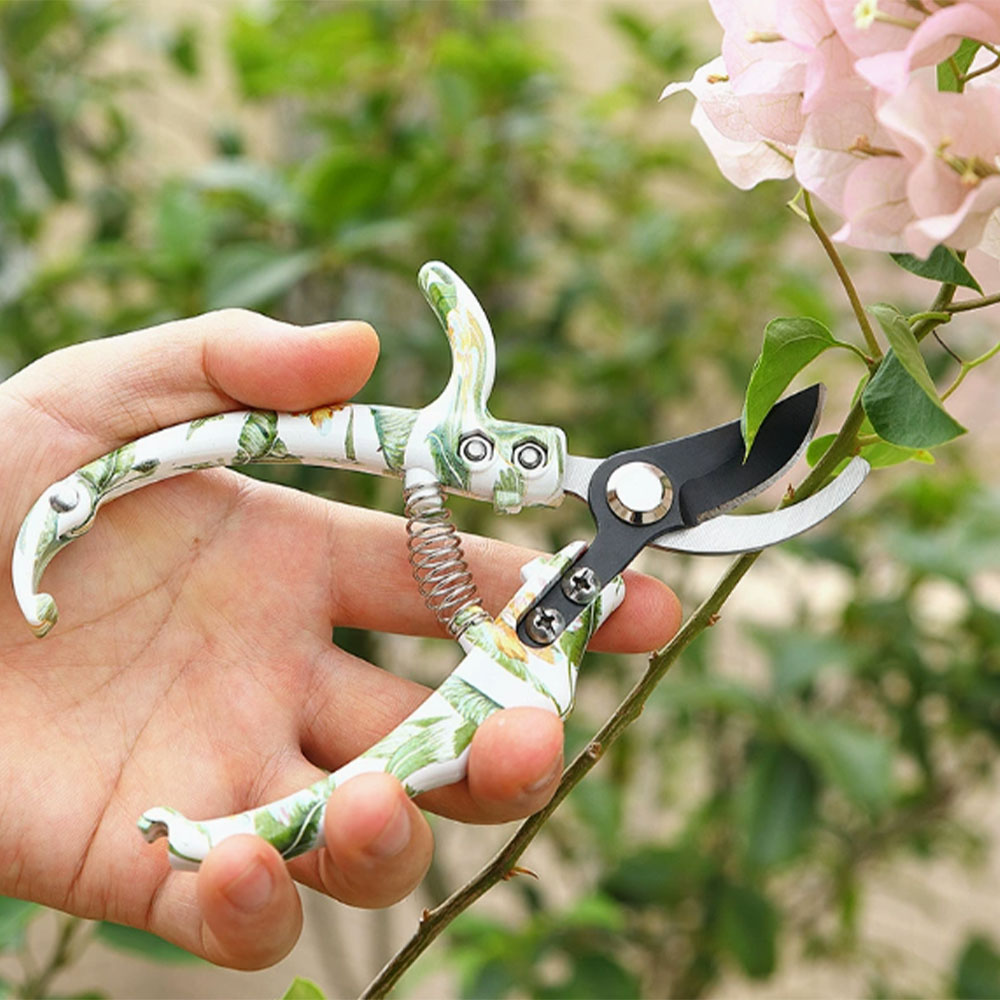 3Cr13 스테인리스 스틸, 정원용 전정가위, 과일 따 - Gardening Tools Pink 리뷰 및 가격