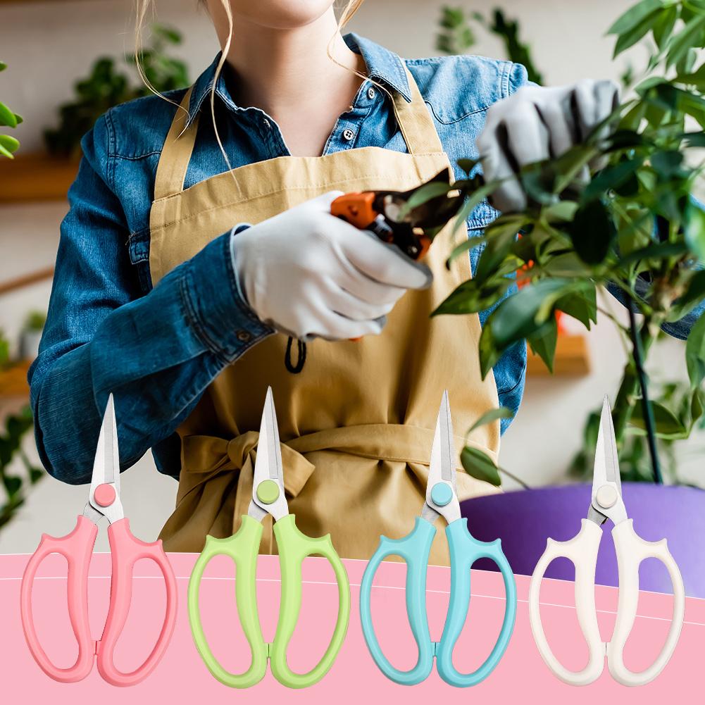전문 분재 가위 정원 가위 꽃가위 전문 꽃가위 편안한  - Gardening Tools Pink 리뷰 및 가격