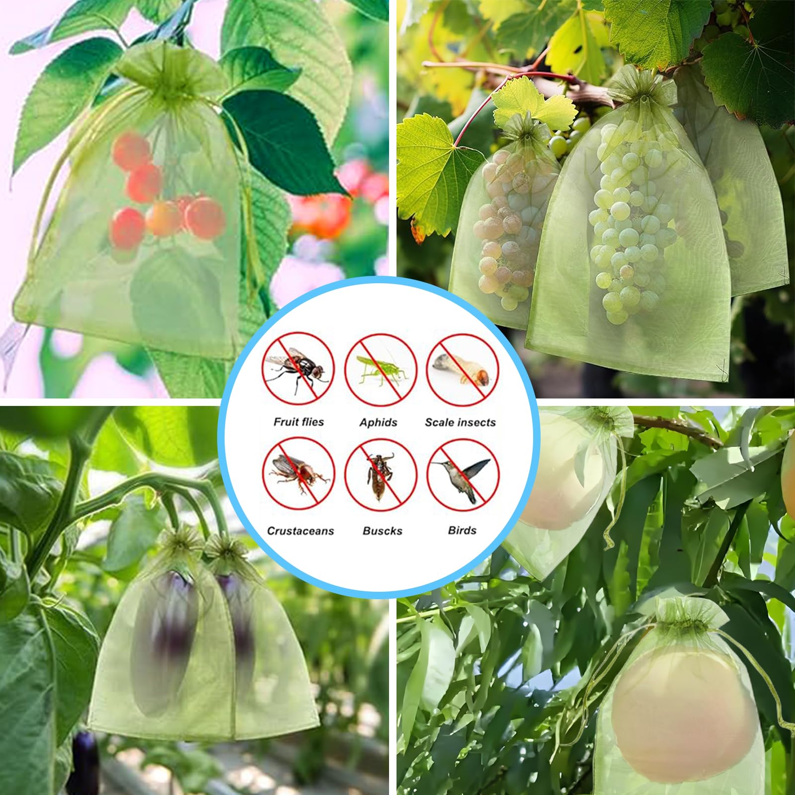 효과적인 조류 방지망 과일 보호 가방 식물 재배 커버  - Grow Bags 리뷰 및 가격