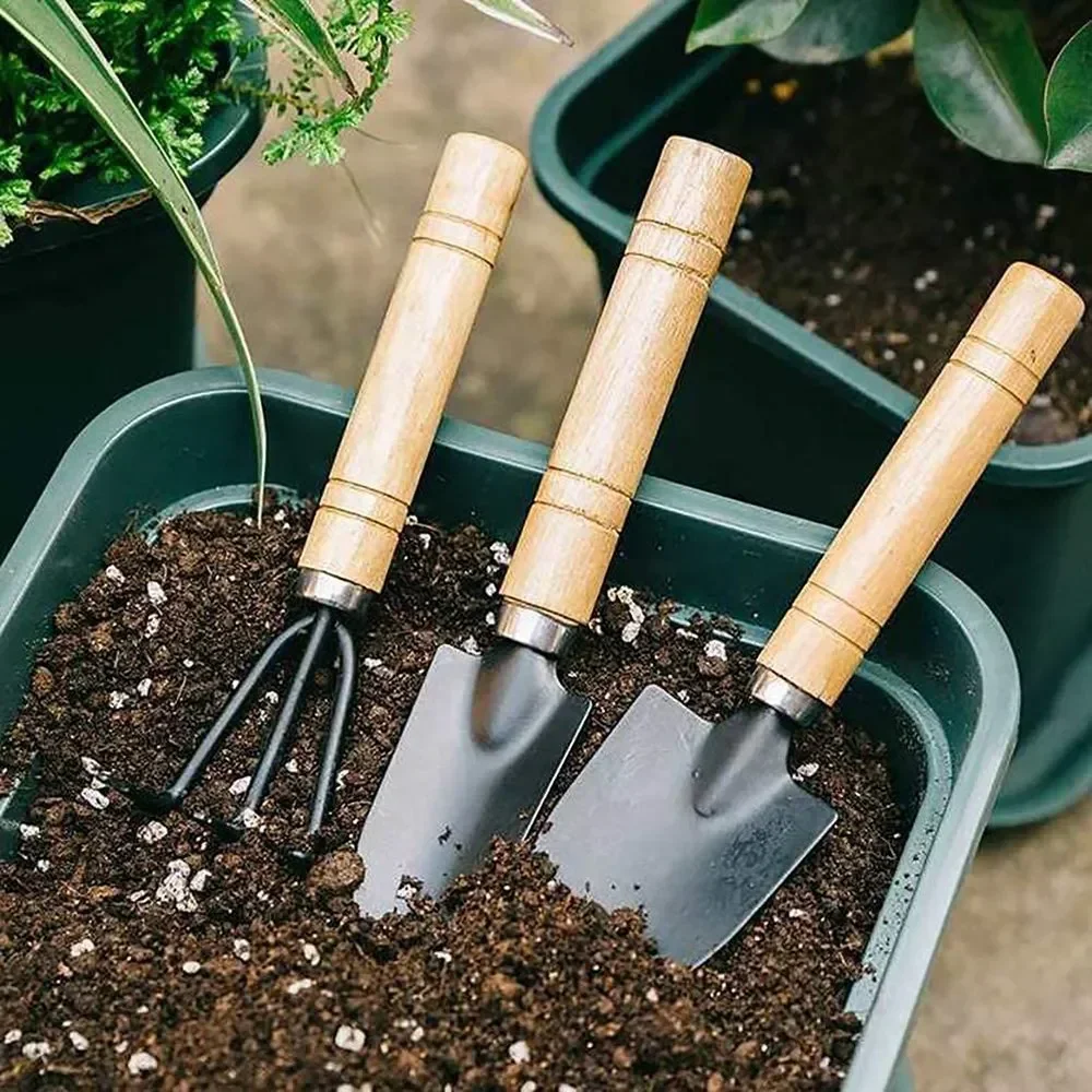 3개/세트 미니 정원 도구 세트 소형 실내 식물 관리용 - Gardening Tools For Digging 리뷰 및 가격