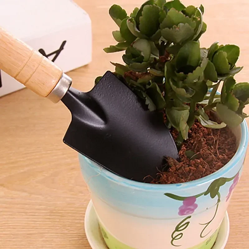 3개/세트 미니 정원 도구 세트 소형 실내 식물 관리용 - Gardening Tools For Digging 리뷰 및 가격