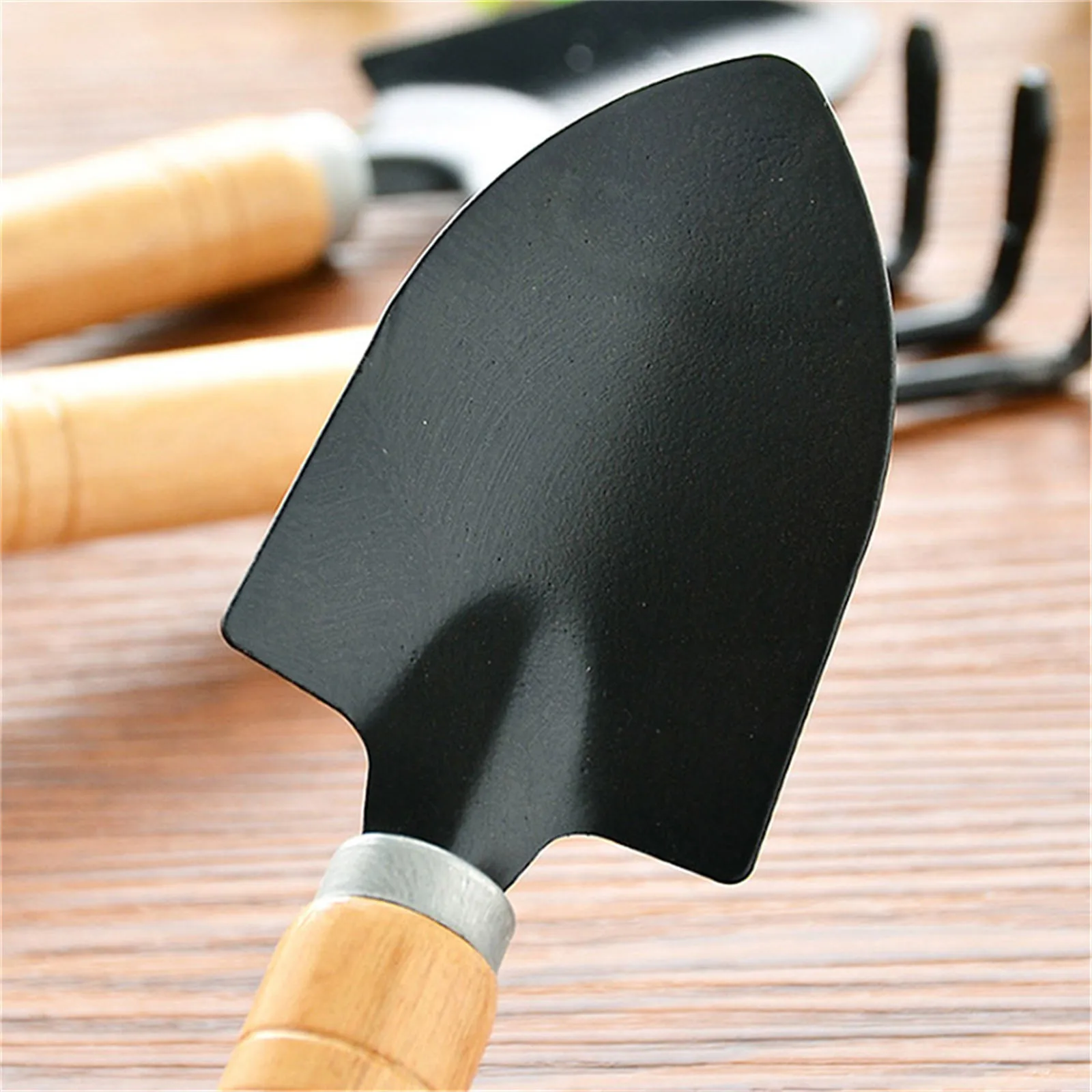 3피스 미니 정원 도구 세트, 다육 식물 분재 관리를  - Gardening Tools Gift Ideas 리뷰 및 가격