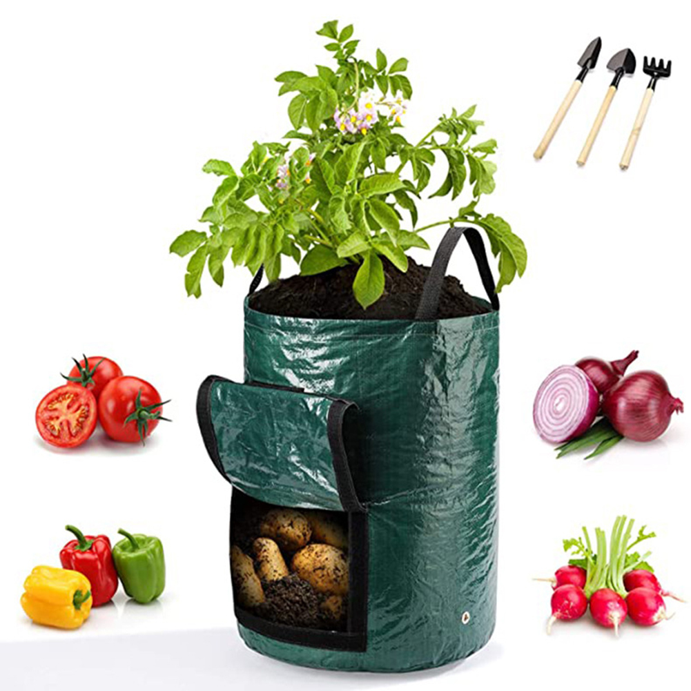 1개 10갤런 용량의 손잡이가 있는 야채 식물 재배용  - Grow Bags 리뷰 및 가격